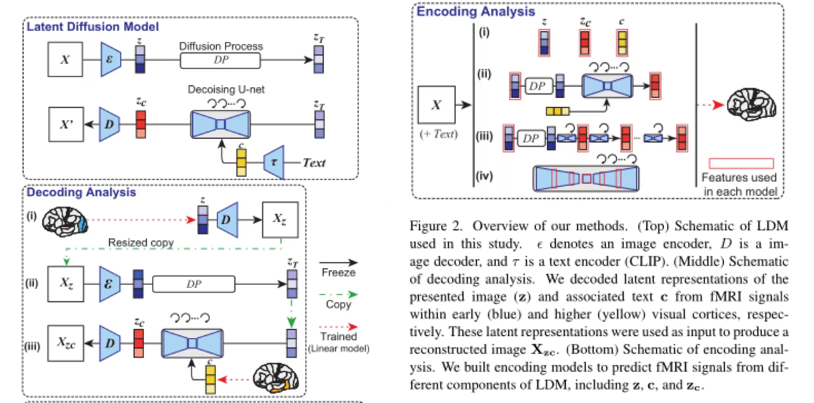 High-resolution image reconstruction with latent diffusion models from human brain activity